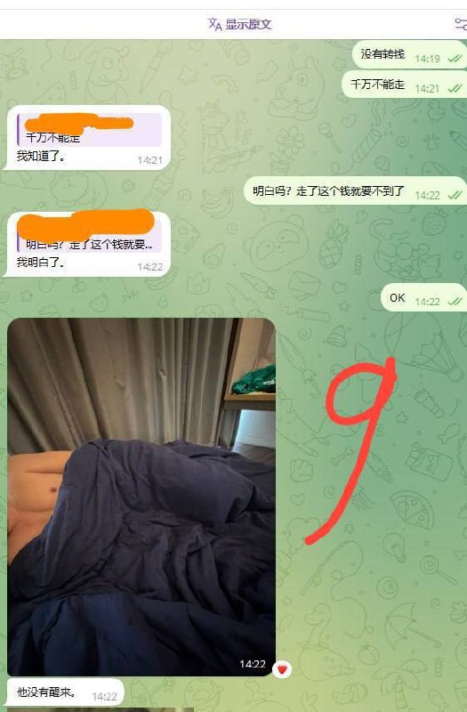 2026年世界技能大赛特别赛芬兰赛区闭幕 中国队获9金