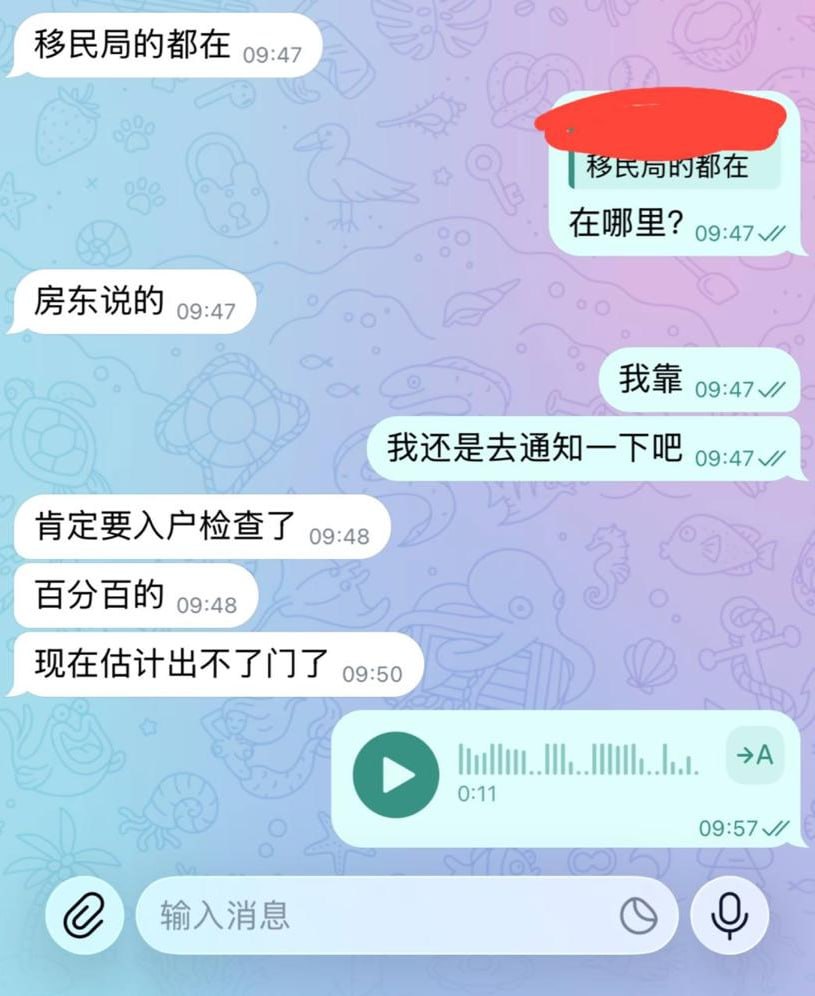 西港“海豚”附近开展检查 宪兵移民局联合行动