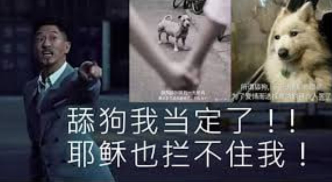 一名自称为“爱情诈骗犯”的人士透露，其在东南亚通过网络以虚假感情关系骗取他人钱财…