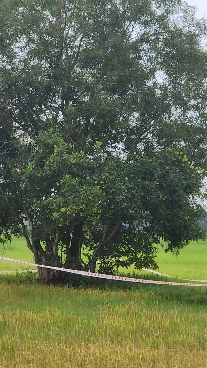 柴桢省巴域市发现一名男子上吊身亡，目前其具体身份及死因尚未明确。