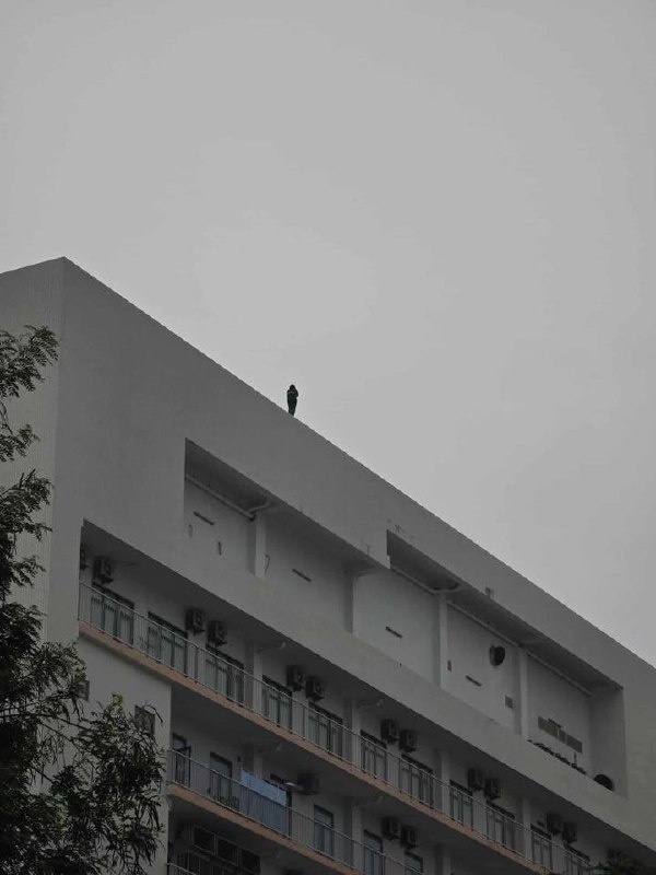 越南胡志明市某郡今日发生一起坠楼事件,据目击者称,一名年轻女子从十几层高楼跳下,…
