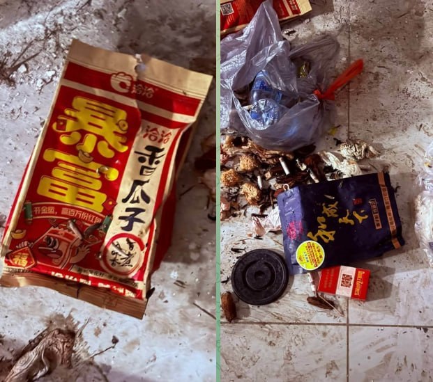 金边彭恒花园城被指藏诈骗窝点