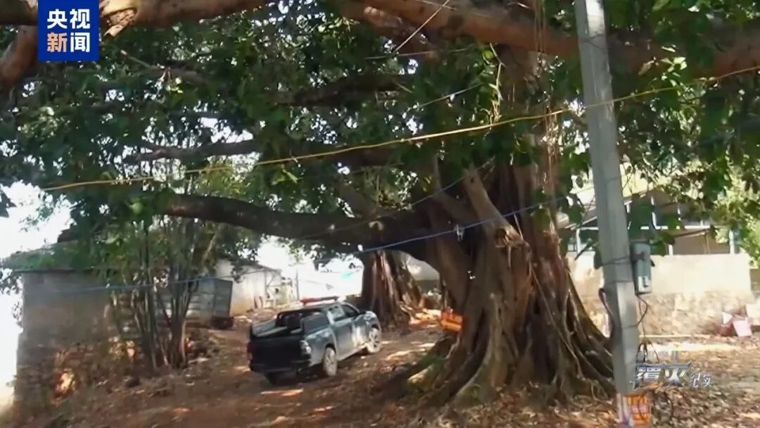 缅北电诈园区交出29人死亡名单
