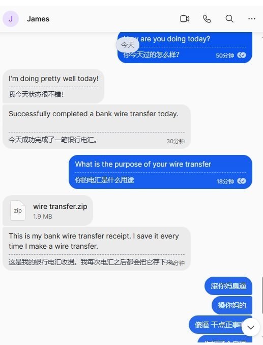 有群友吐槽称，一些传播病毒的人与其耗费时间精力针对国内用户，不如去攻击外国人，批…