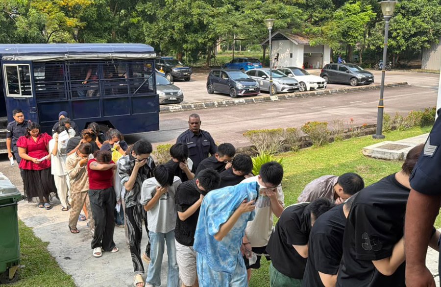 高奖200万美元,专骗中国和柬埔寨人!29人租豪宅搞诈骗,全部被判刑