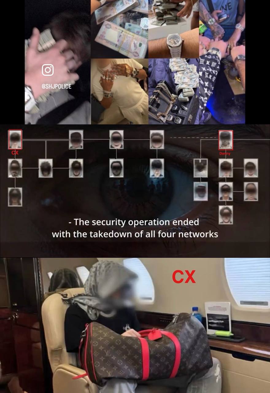 沙迦警方破获跨境网络犯罪案 追回逾650亿迪拉姆资产